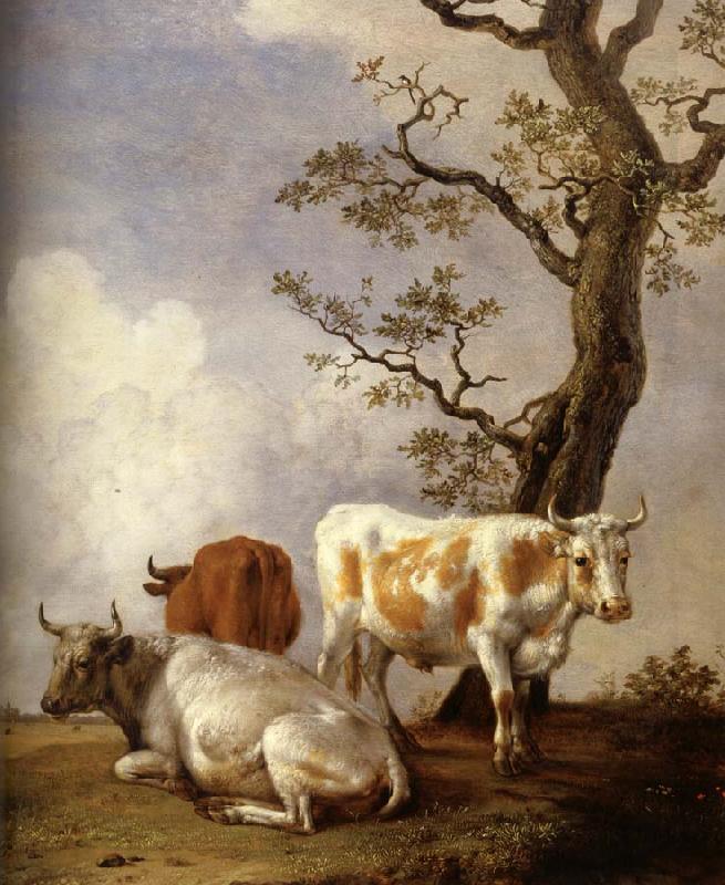 POTTER, Paulus Four Bull oil painting picture